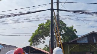 Andal dan Responsif, Tim PDKB PLN Rawat Jaringan Listrik di Titik Vital Kalimantan Selatan