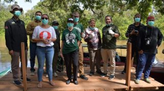 Lestarikan Kekayaan Hayati, Pemerintah Kalteng Dukung Penuh Program Konservasi Orangutan