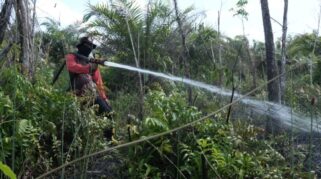 Antisipasi Meluas, BPBD Palangka Raya Intensifkan Penanganan Karhutla