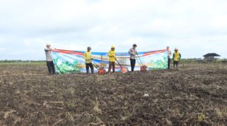 Ketahanan Pangan Terjaga, Polresta Banjarmasin Kembali Tanam Jagung di Lahan Rawa Kabupaten Banjar