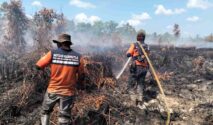 Hadapi Puncak Kemarau, BPB-PK Kalteng Intensifkan Deteksi Dini Karhutla