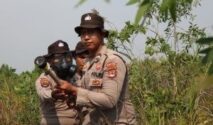 10 Personel Samapta Polda Kalsel Bergerak Cepat Padamkan Karhutla di Belakang Ponpes Darul Ilmi
