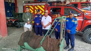 Beruang Madu Gegerkan Warga Gunung Antasari, Akhirnya Masuk Perangkap Petugas