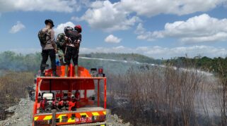 BPBD Tanah Bumbu Kerahkan 20 Personel Padamkan Karhutla di Satiung, 5 Hektare Lahan Terbakar