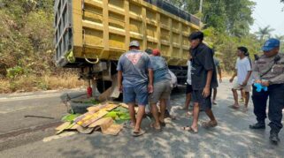 Jatuh ke Kolong Truk, Warga Aranio Tewas dalam Kecelakaan di Mandiangin