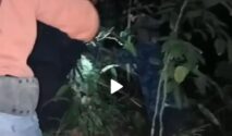 Medan Curam dan Kelelahan, Tiga Pendaki Perempuan Minta Dievakuasi dari Bukit Manjai