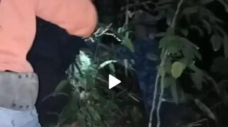 Medan Curam dan Kelelahan, Tiga Pendaki Perempuan Minta Dievakuasi dari Bukit Manjai