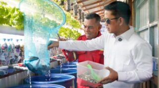Sampah di Sungai Andai Banjarmasin Diolah Jadi Kompos hingga Budidaya Lele